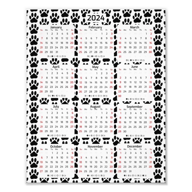 Dog Pawprint Pattern 2024 Calendar Photo Print (Front)