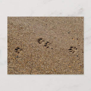 Dog Paws On The Beach Holiday Postcard