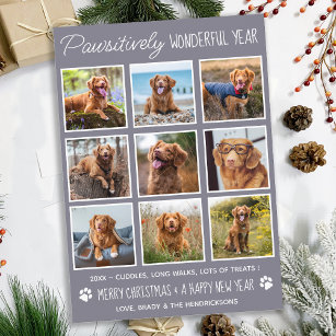 Dog Pawsitively Wonderful Cute Pet Photo Collage Holiday Card