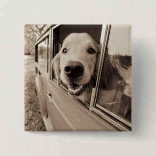 Dog Peeking Out a Car Window 15 Cm Square Badge