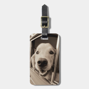 Dog Peeking Out a Car Window Luggage Tag