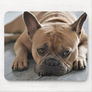 Dog Personalised Photo Mouse Pad