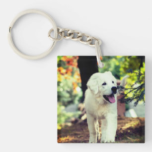 Dog, Pet, Canine Key Ring