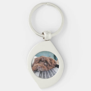 Dog, Pet, Containment Key Ring