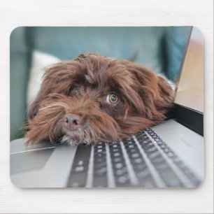 Dog, Pet, Containment Mouse Pad