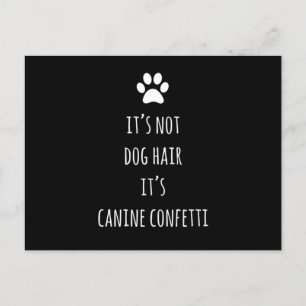 DOG Pet Grooming Stylist Cute Groomer Vet Xmas Bir Postcard