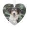 Dog Pet Paw Print Personalised Photo