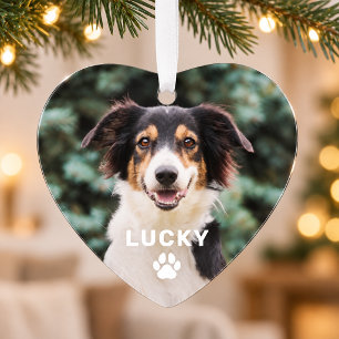Dog Pet Paw Print Personalised Photo Ornament