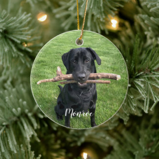 Dog Pet Personalised Name and Photo Holiday Ceramic Ornament