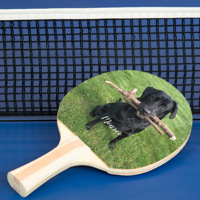 Dog Pet Personalised Name and Photo  Ping Pong Paddle (Insitu)