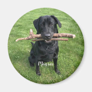 Dog Pet Personalized Name and Photo Holiday Magnet