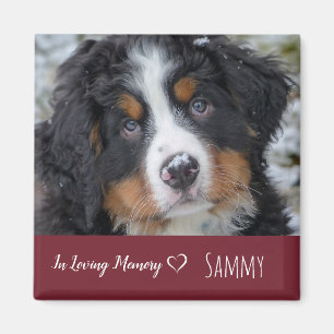 Dog Pet Photo Memorial - Pet Loss Sympathy Quote Magnet