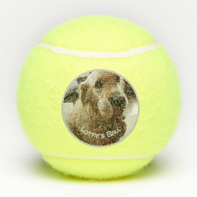 Dog Pet Photo Name Playtoy Tennis Balls (Back)