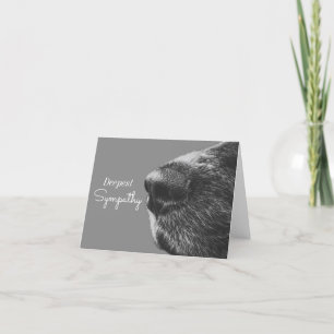 Dog Pet Sympathy Dog Condolence Card