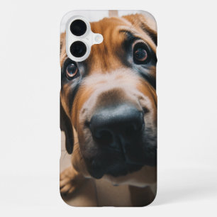 Dog Phone Case