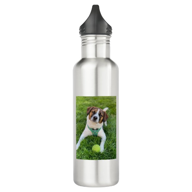 Dog Photo Add Two Photos 710 Ml Water Bottle (Left)