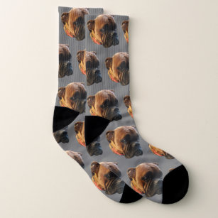 Dog Photo Boxer Puppy Grey Socks