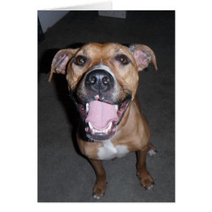 Dog Photo Card - Annie