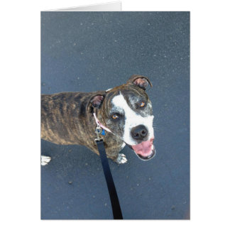 Dog Photo Card - Macy