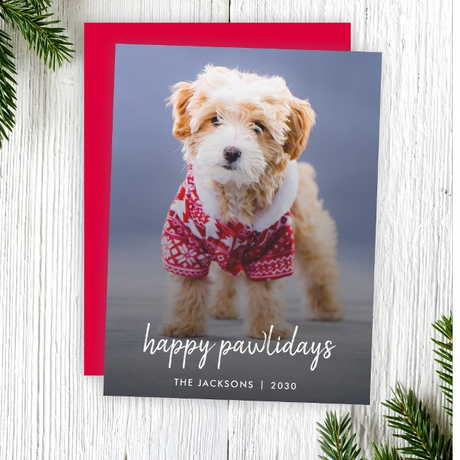 Dog Photo Christmas Card | Happy Pawlidays (Celebrate your furry friend with a modern "Happy Pawlidays" photo Christmas card by Guava)