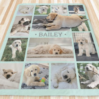 Dog Photo Collage Simple Modern Teal and Grey