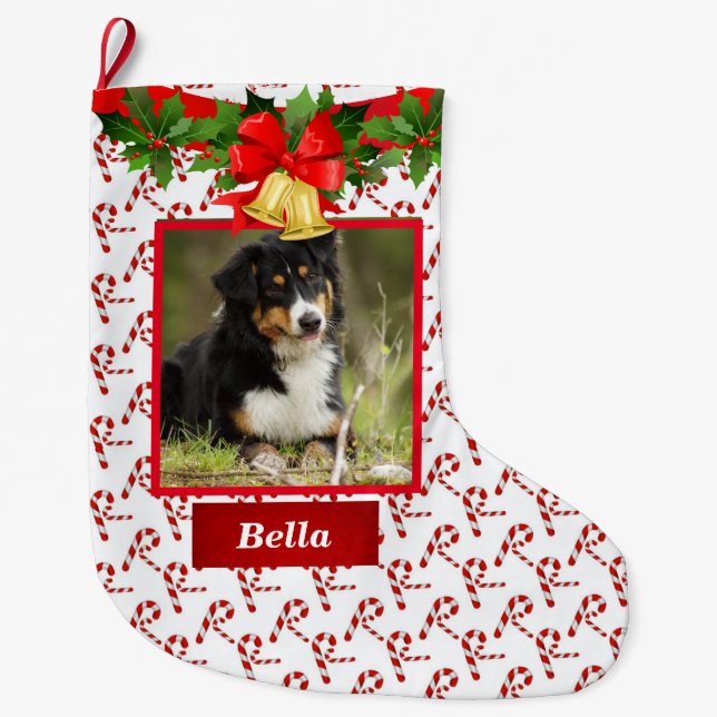 Dog Photo Cute  Christmas Stocking Custom Name (Front)