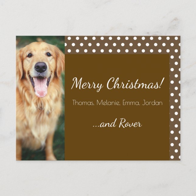 Dog Photo Family Name Polka Dot Holiday Postcard (Front)