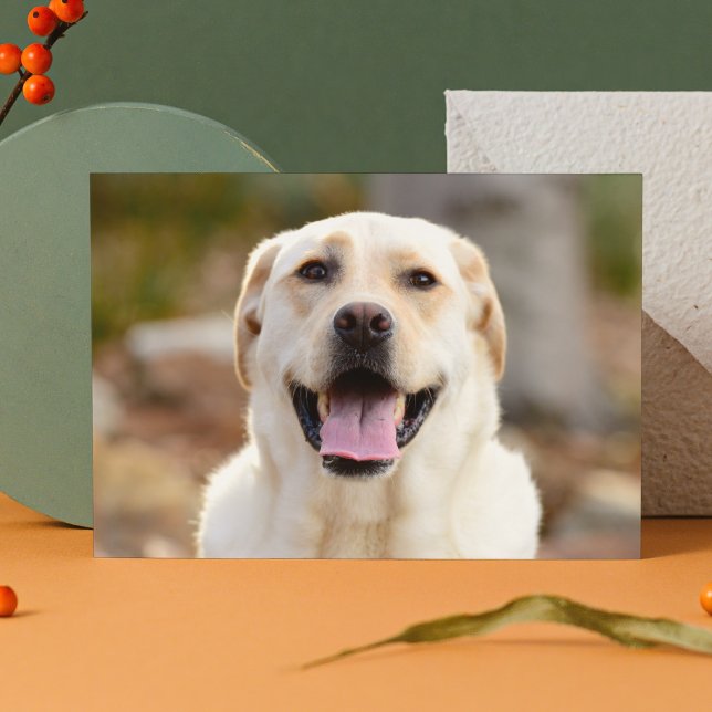 Dog Photo Holiday Card (Creator Uploaded)
