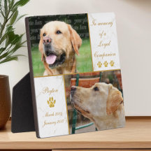 Dog Photo Loyal Companion Pet Keepsake Memorial