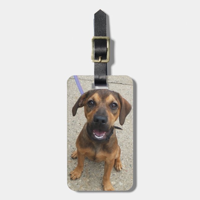 Dog Photo Luggage Tag (Front Vertical)