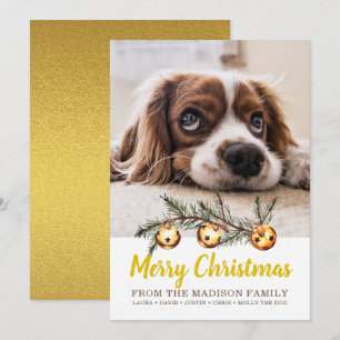 Dog Photo Merry Christmas Family Name Gold Foil Holiday Card