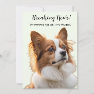 Dog Photo My Humans Are Getting Married Invitation