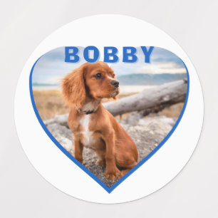 Dog Photo Name Blue Heart Dog