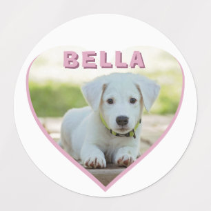 Dog Photo Name Pink Heart Pet