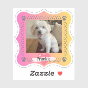 Dog photo on pink/yellow gradient background
