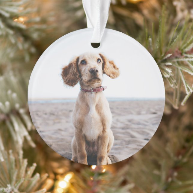 Dog Photo Ornament Gift for Family Christmas Tree (Tree)