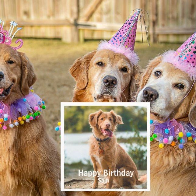 Dog Photo Personalized Birthday Cocktail Napkin (Creator Uploaded)