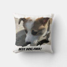 Dog Photo Pet Pillow