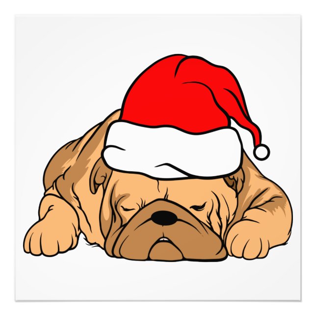 Dog Photo Print (Front)