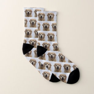 Dog   Photo Retriever Puppy Pet Socks