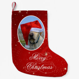 Dog Photo Small Christmas Stocking
