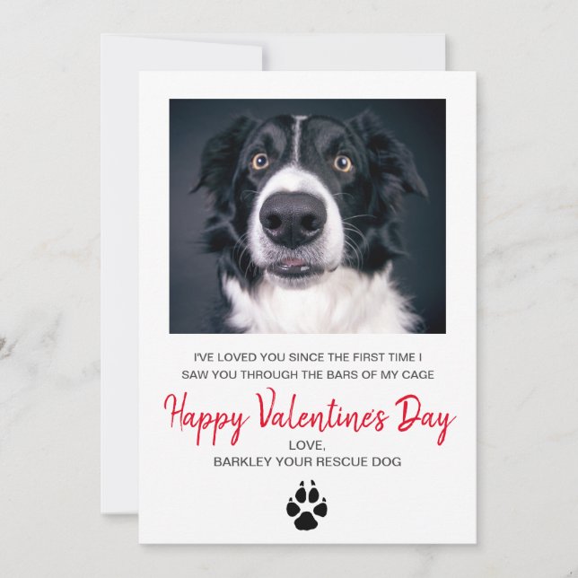 Dog Photo Valentine's Day From The Dog Holiday Card (Front)