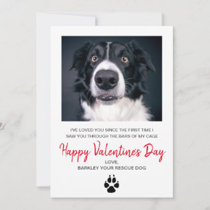 Dog Photo Valentine's Day From The Dog Holiday Card