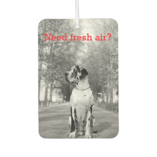 Dog Photography personalised Air Freshener