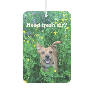 Dog Photography personalised Air Freshener