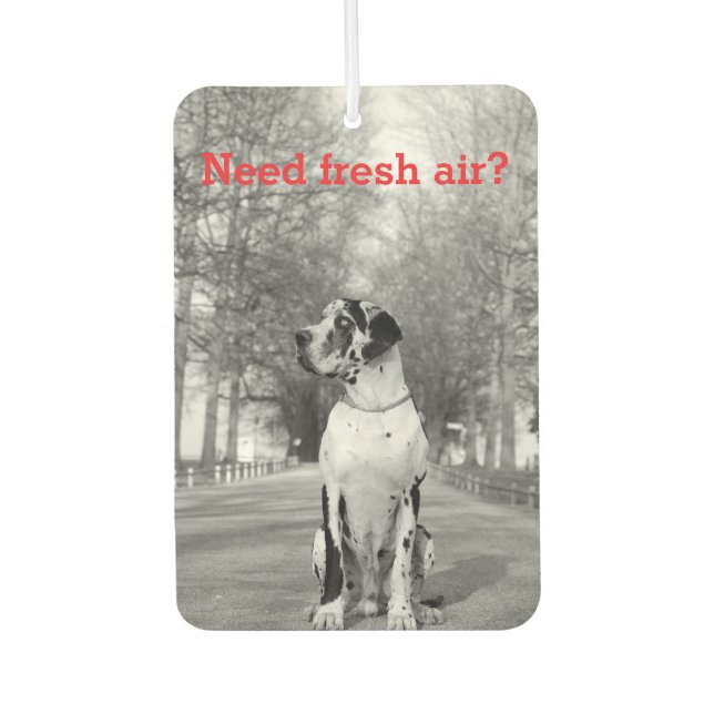 Dog Photography personalized Air Freshener (Front)