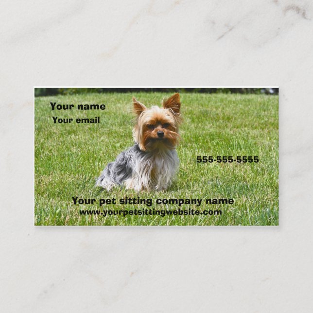 Dog photography pet care business card (Front)