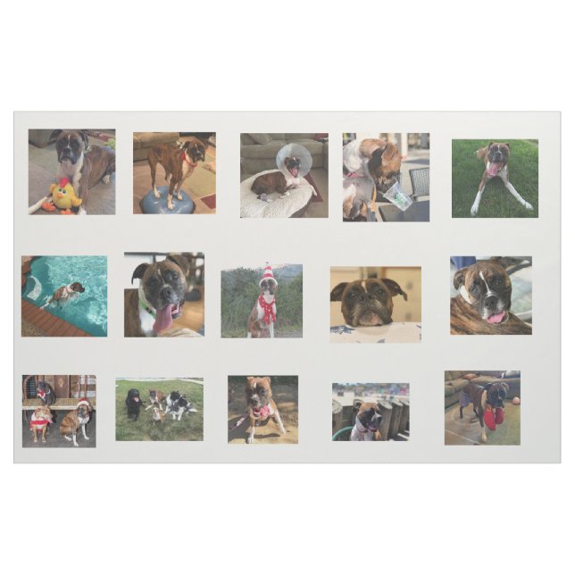 dog pics fabric (Fat Quarter)