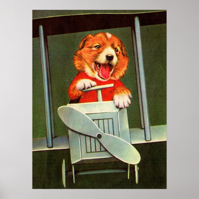 dog pilot poster (Front)