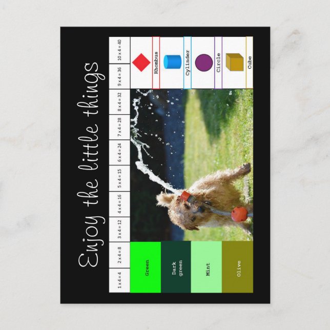 Dog playing with water  postcard (Front)